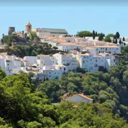 Apartment Palm Paradise - Casares Del Sol *